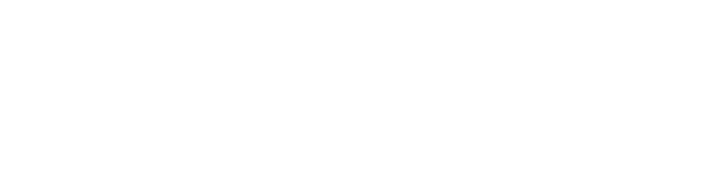 eMOBINO